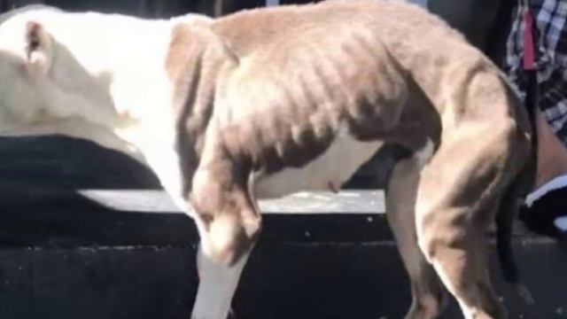 Когда её нашли она уже потеряла всякую надежду смотреть онлайн