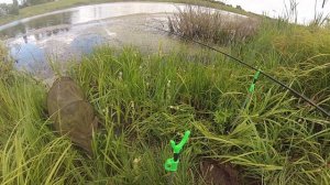 ПУФИКИ С АНИСОМ ПРОТИВ ВАНИЛЬНЫХ. КАРАСЬ НА ДОНКУ В ЗАРОСШЕМ ВОДОЁМЕ