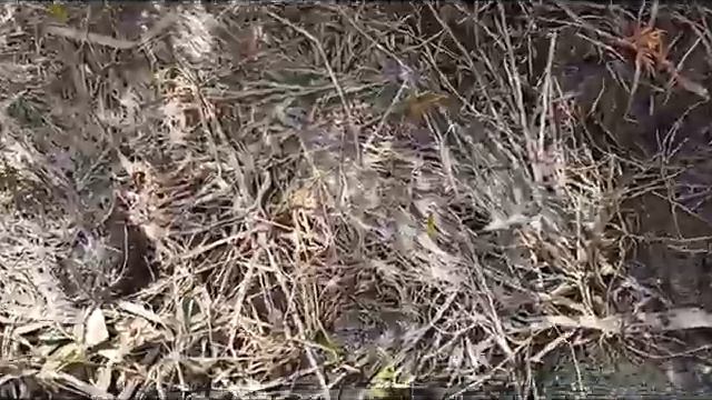 Утро начинается, весна продолжается.