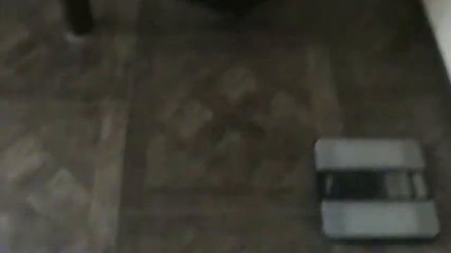 котята канадского сфинкса смотреть онлайн