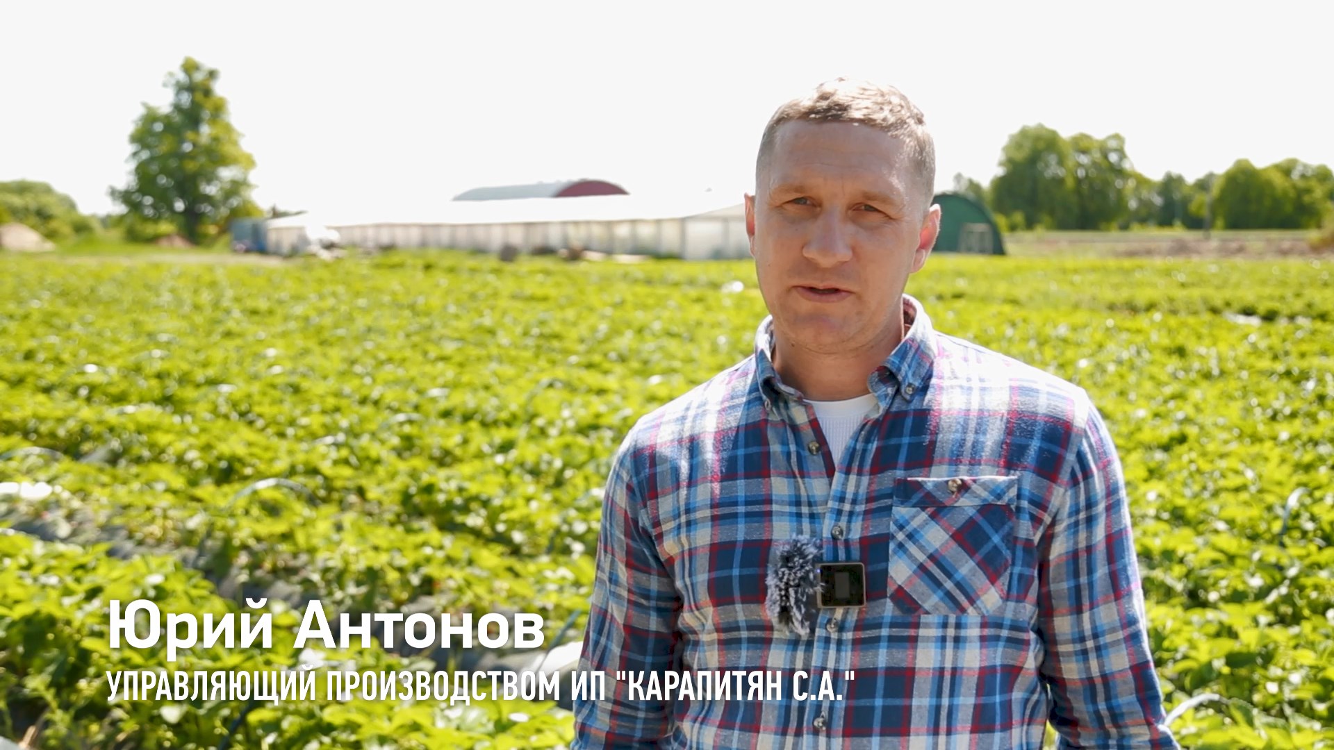 ИП Карапитян Сергей Аветисович - получатель гранта Агростартап 2022 года смотреть онлайн