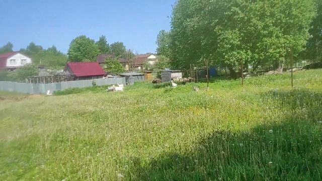 Прогулка по Рыбинску, на слиянии двух рек... 1 часть. смотреть онлайн