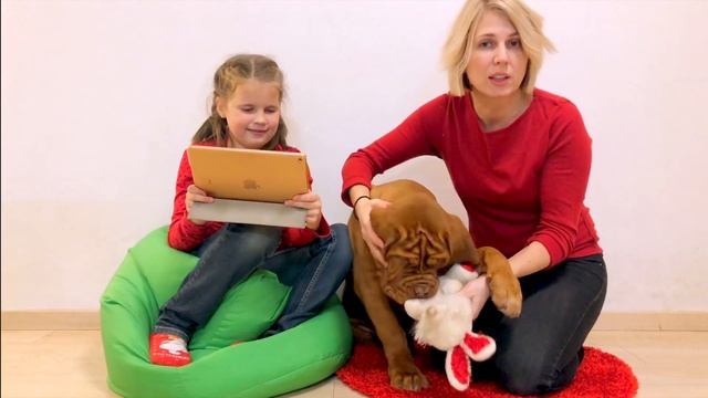 КОММЕНТИРУЮ ВИДЕО ПОДПИСЧИКОВ // НаЙдИ СЕБЯ в ВиДеО // MyLittleSasha смотреть онлайн