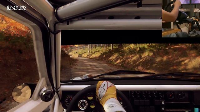 Audi Quattro S1 Historic Group B - DiRT Rally 2.0 || North Fork Pass, USA (Clutch + H-shifter) смотреть онлайн
