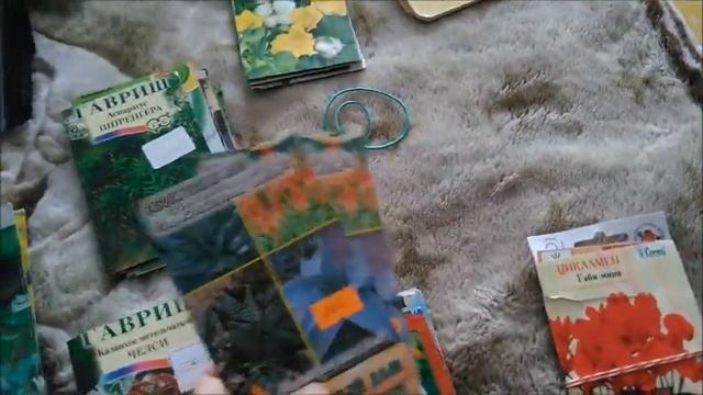 Комнатные растения выращенные из семян смотреть онлайн