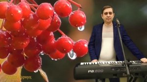 Formatia Curnut (Группа Курнуц) - Ой калина ой малина, русские народные песни (Cover) #курнуц