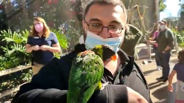 15 декабря 2021 г.(1) смотреть онлайн