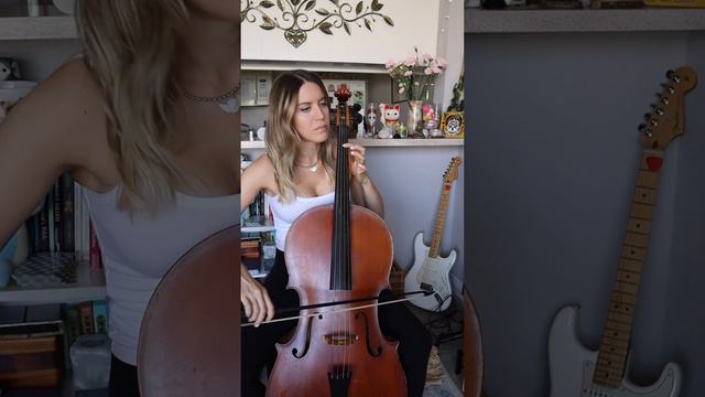 Vivaldi - Cello Sonata no. 5 in E minor, II. Allegro, on baroque cello смотреть онлайн