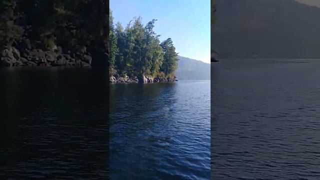 Телецкое озеро. Путешествие к Южному берегу. 07.08.2022г. смотреть онлайн