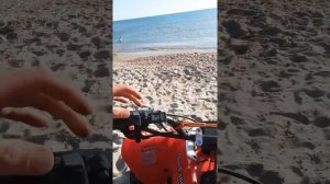 Motoland 250s год эксплуатации