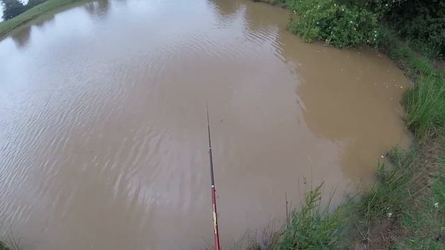 Testing out NEW rod SHAKESPEARE FIREBIRD смотреть онлайн