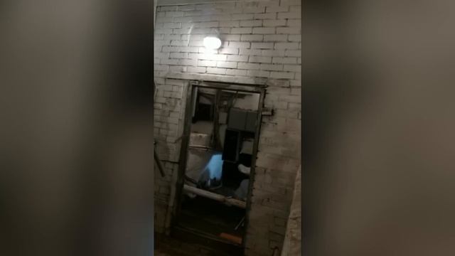 Обработка от блох подвала жилого дома смотреть онлайн