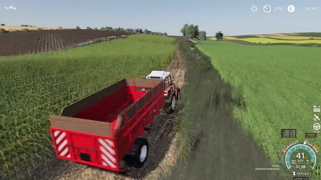 CORN SILAGE harvest with CLAAS JAGUAR 685 | Animals on Eastern | Farming Simulator 19 | Episode 12 смотреть онлайн