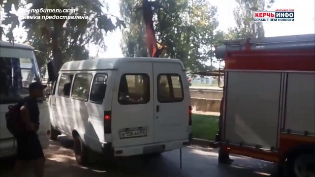 Возле реки Мелек Чесме загорелось дерево смотреть онлайн