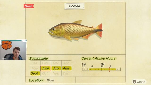 How to Catch a Dorado | Dorado ACNH | Dorado Animal Crossing New Horizons | ACNH Dorado смотреть онлайн