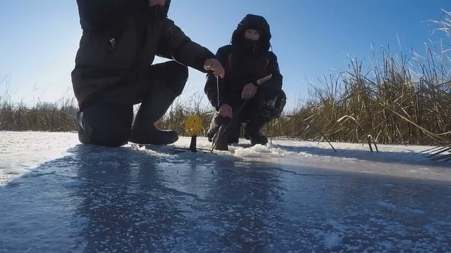 ПЕРВЫЙ ЛЕД В САРАТОВЕ 3.12.2022. ЧАСТЬ ВТОРАЯ. ЛОВЛЯ ЩУКИ И ОКУНЯ. смотреть онлайн