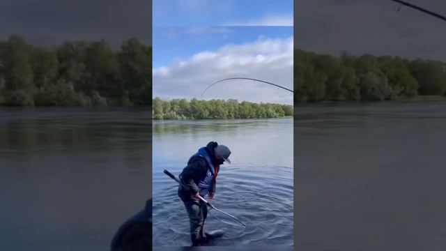ДЕЛО-КОТОРОЕ ПРИНОСИТ УЛЫБКИ И РАДОСТ НЕ ТОЛЬКО МНЕ, НО И ВАМ? #любимоедело #рыба #рыбак #хочуврек