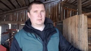 Ветки яблони и груши для кроликов! [ веточный корм ]