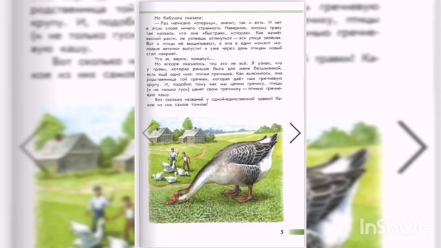 Птичья гречишка.Зелёные страницы. Окружающий мир. 1 класс Школа России. смотреть онлайн