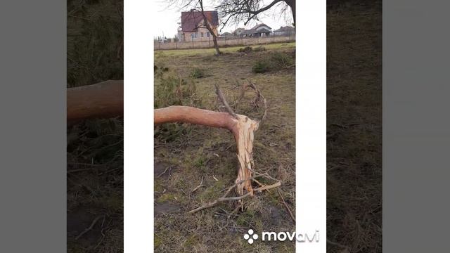 14.02.2022г мой день рождения🥳🎂🥳 смотреть онлайн