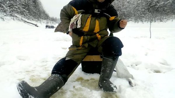 Клев плотвы в январе