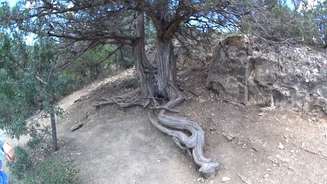 Полный и свежий обзор красивого курорта Крыма - Нового света | Новый свет 2023. смотреть онлайн