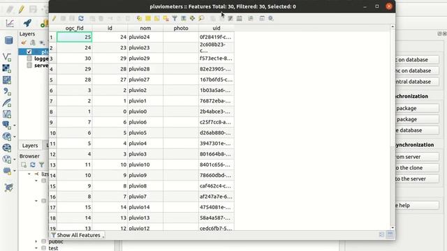 LizSync Plugin - Demo of the PostgreSQL synchronisation setup смотреть онлайн