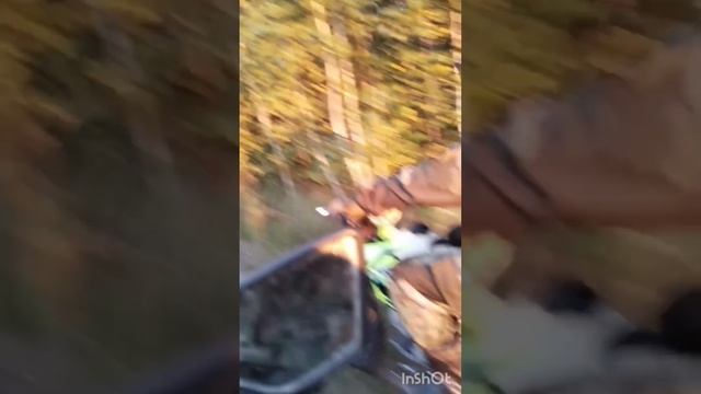 #шортс #эндуро #хочуврекомендации #хочувтренды #питбайк #мотоленд #покатушки #мото #рек смотреть онлайн