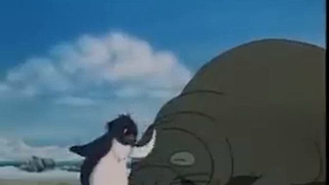 морской слон.avi смотреть онлайн