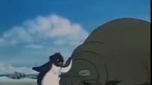 морской слон.avi