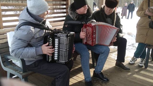 11.02.23г.Кузьминский пятачок- Полынь трава!!! смотреть онлайн