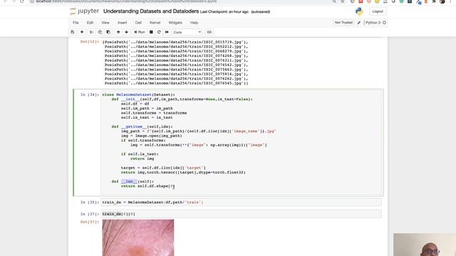 Building Dataset and Data loaders from scratch in PyTorch. смотреть онлайн