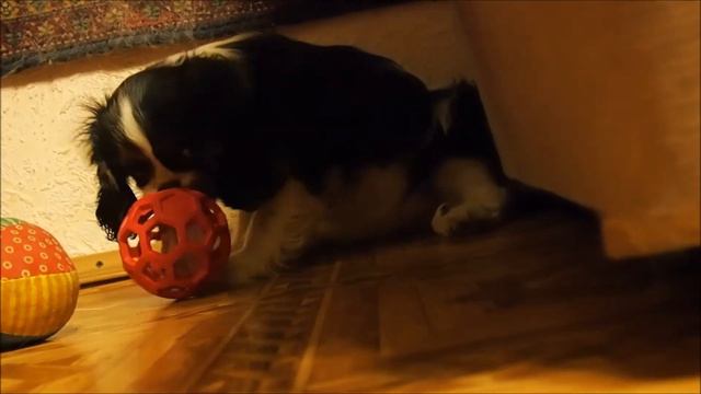 вот такой вот ланч-бокс В СОЛНЕЧНОМ ГОРОДЕ)) смотреть онлайн