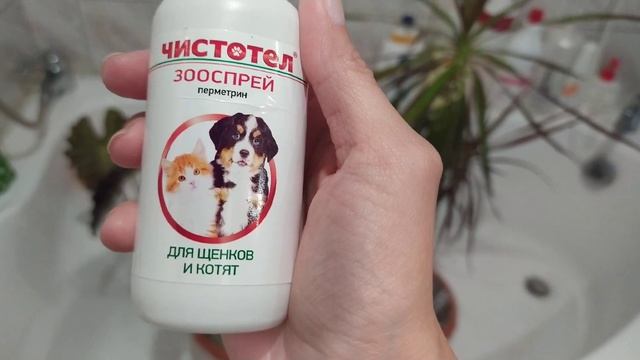 И снова мучнистый клещ атакуют мои растюшки смотреть онлайн