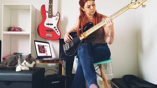 Megadeth - Trust (Bass Cover) смотреть онлайн