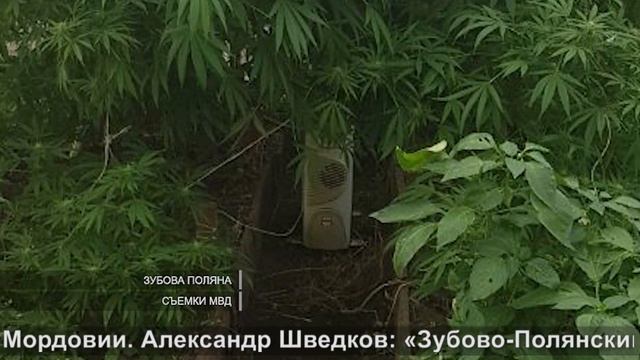 «Агроном» в погонах | "Agronomist" in uniform смотреть онлайн
