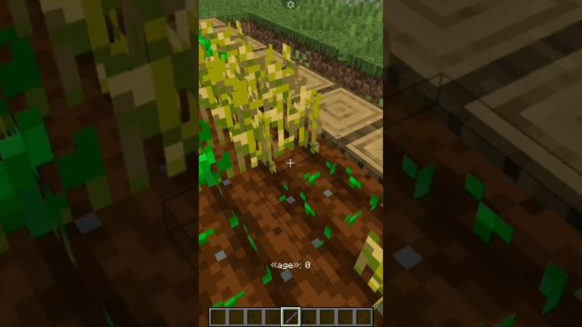 самый лучший предмет в Майнкрафт палка отладки #компот #майнкрафт #minecraft #фиксай #деревня #майн смотреть онлайн