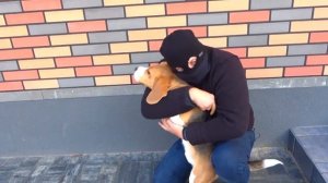 БАНДИТ НАПАЛ НА НАС. ВИДЕО ПОЛНОСТЬЮ.  БРОС ШОУ