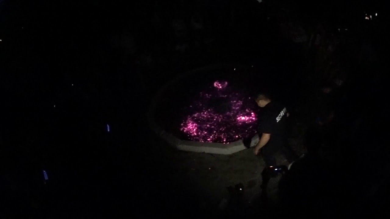 Хождение по Углям в Болгарии 2018 смотреть онлайн