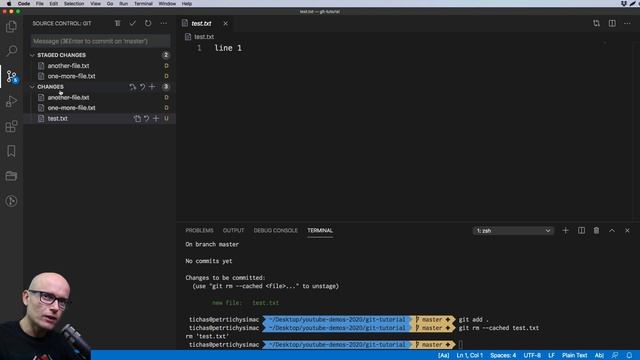 The basics of Git. Learn the basic Git commands. смотреть онлайн