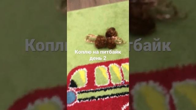 Осуществляю мечту день 2 #питбайк #коплю # смотреть онлайн