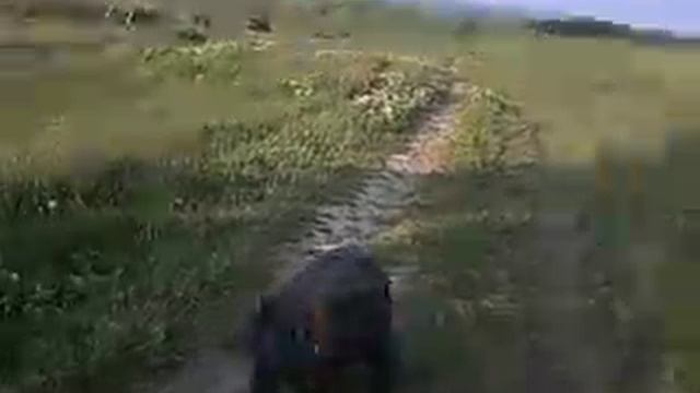 eta jesti 21 veka xD.AVI смотреть онлайн