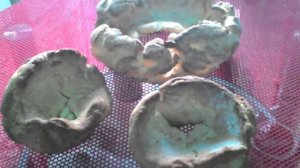 Калачи на блюдцах/Мой канал есть на дзен называется также