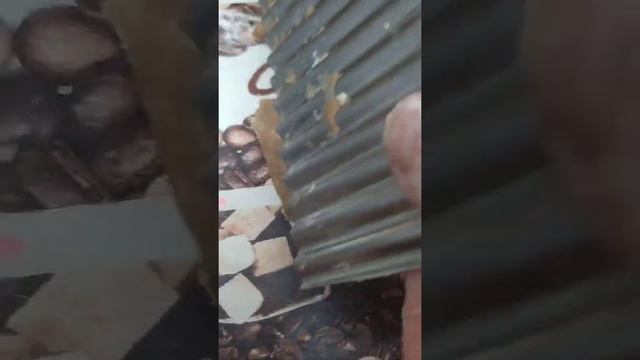 Шоколадное печенье с греческим йогуртом. смотреть онлайн