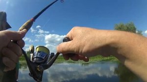 Ловля красноперки на попла-поппер!?Осваиваем новую снасть.