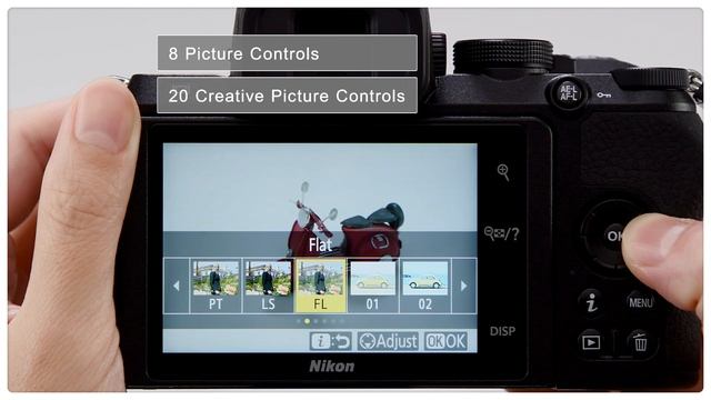 Nikon Z 50 Tutorial: Get the results you want - Picture controls смотреть онлайн