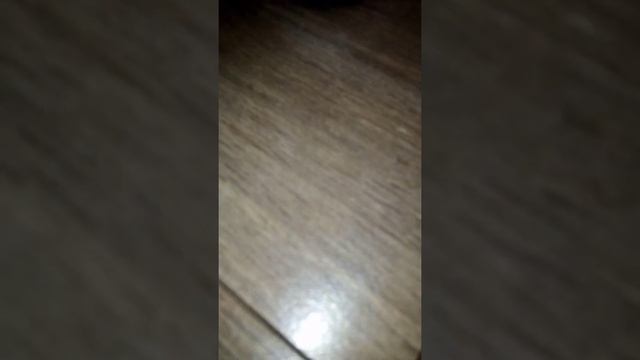 2020 Тойота Ленд Кру зер Прадо. Пов. тест -драйв