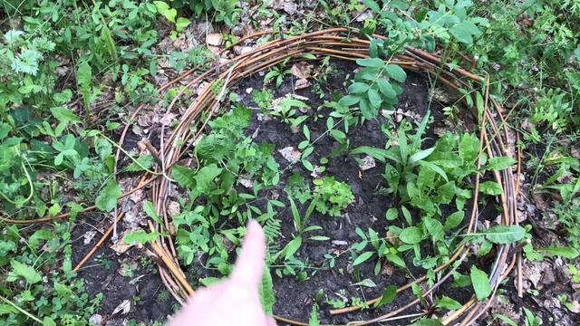 Жалуюсь. Неудачный день на даче смотреть онлайн