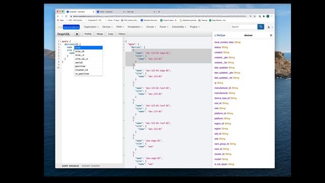 Exploring the Nautobot GraphQL API смотреть онлайн