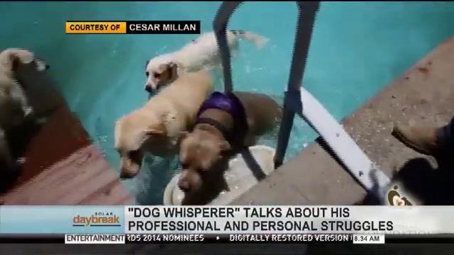 SOLAR DAYBREAK: DOG WHISPERER CESAR MILLAN смотреть онлайн